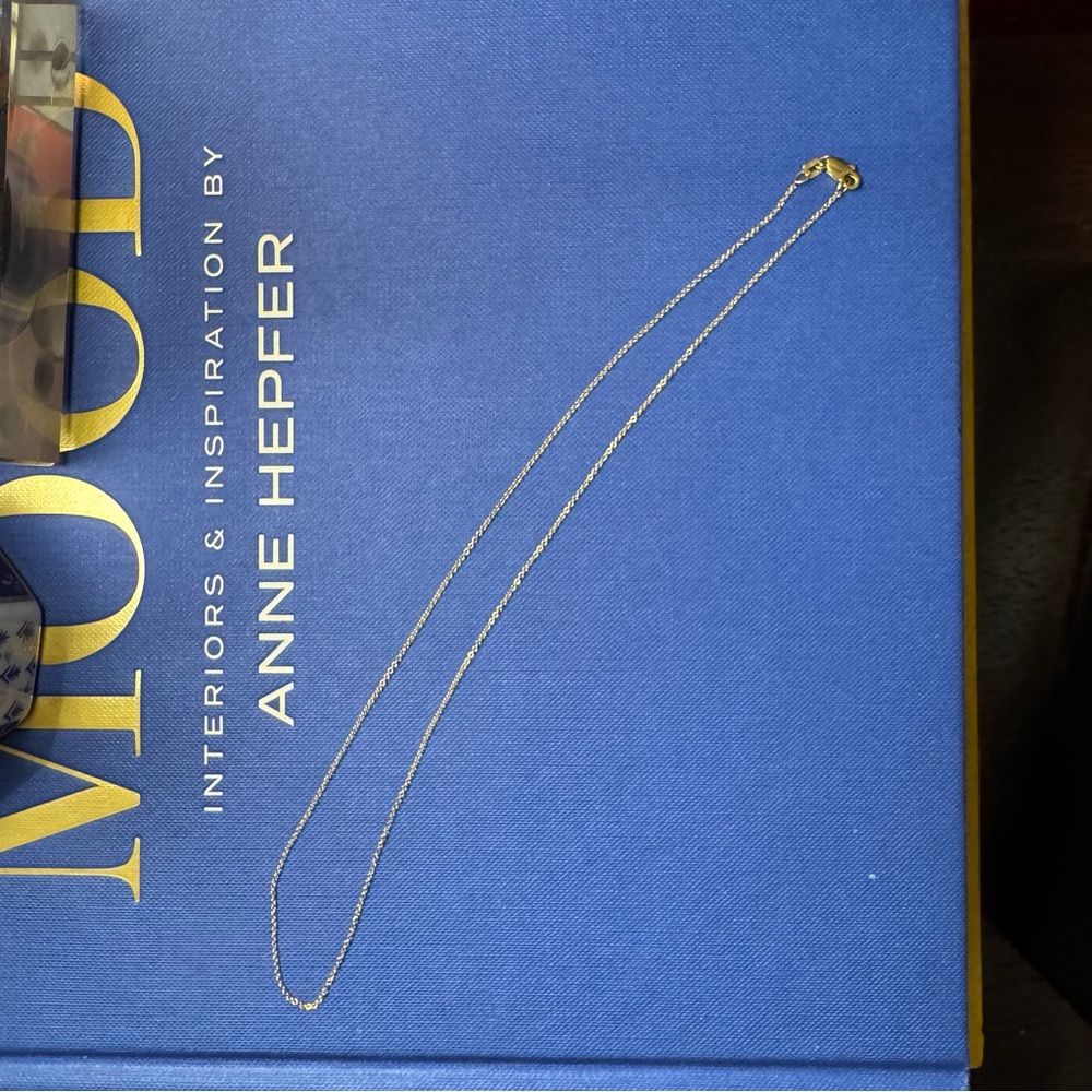 10k Delicate Gold Chain Necklace